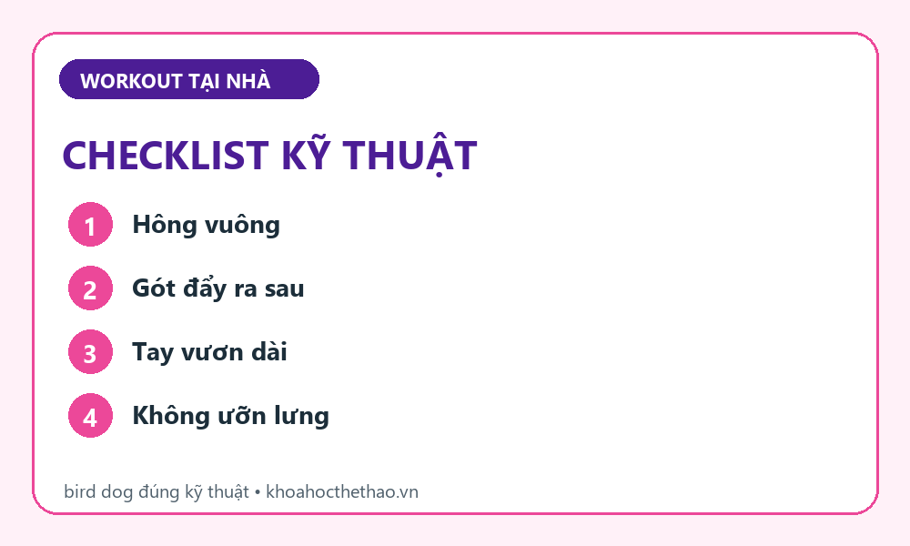 Checklist kỹ thuật Bird dog