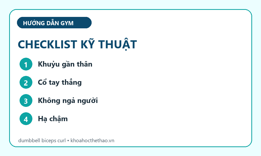 Checklist kỹ thuật Dumbbell biceps curl